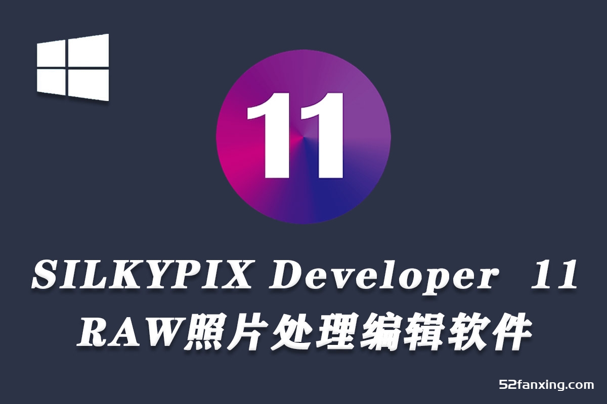 SILKYPIX Developer Studio Pro 11.0.10.0 x64汉化版|WinX64