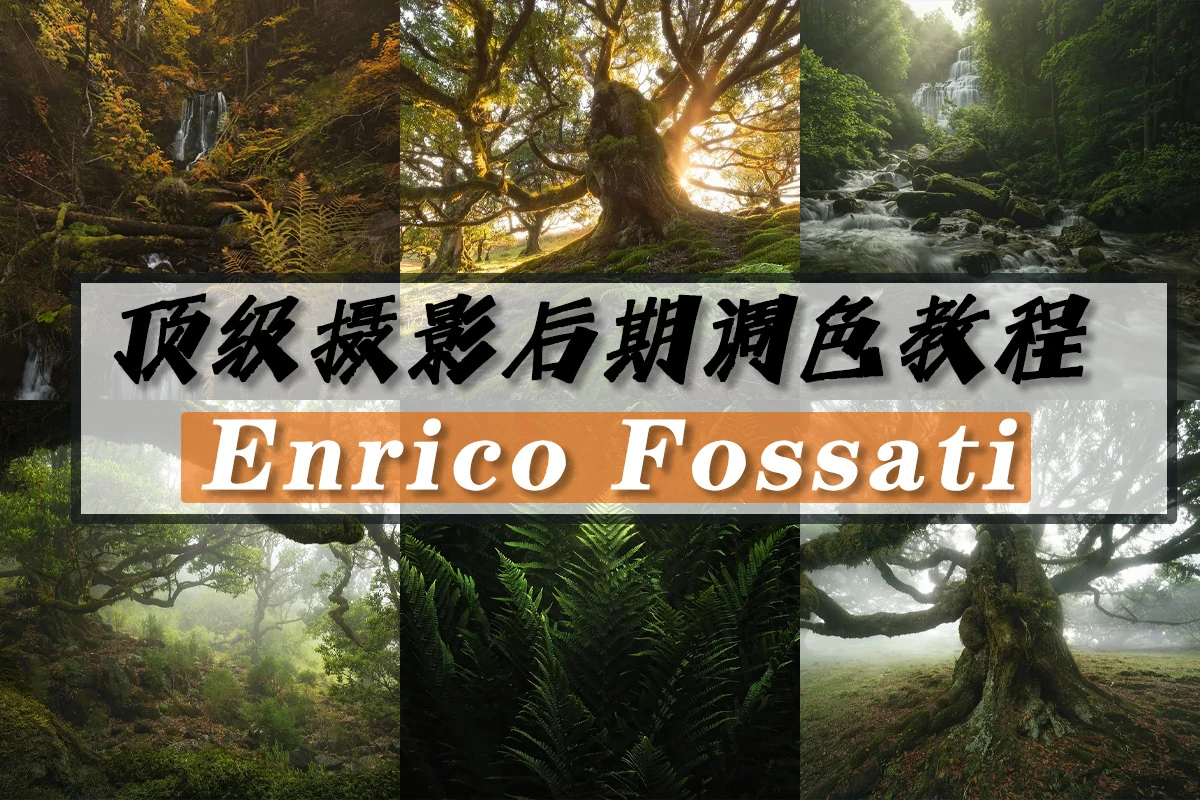 顶级摄影师 Enrico Fossati 《森林世界之旅》风光后期教程附RAW原片-中英字幕