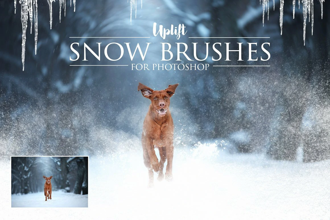 【PS笔刷】25款冬天下雪雪花雪景冰柱PS笔刷 25 Snow Brushes for Photoshop