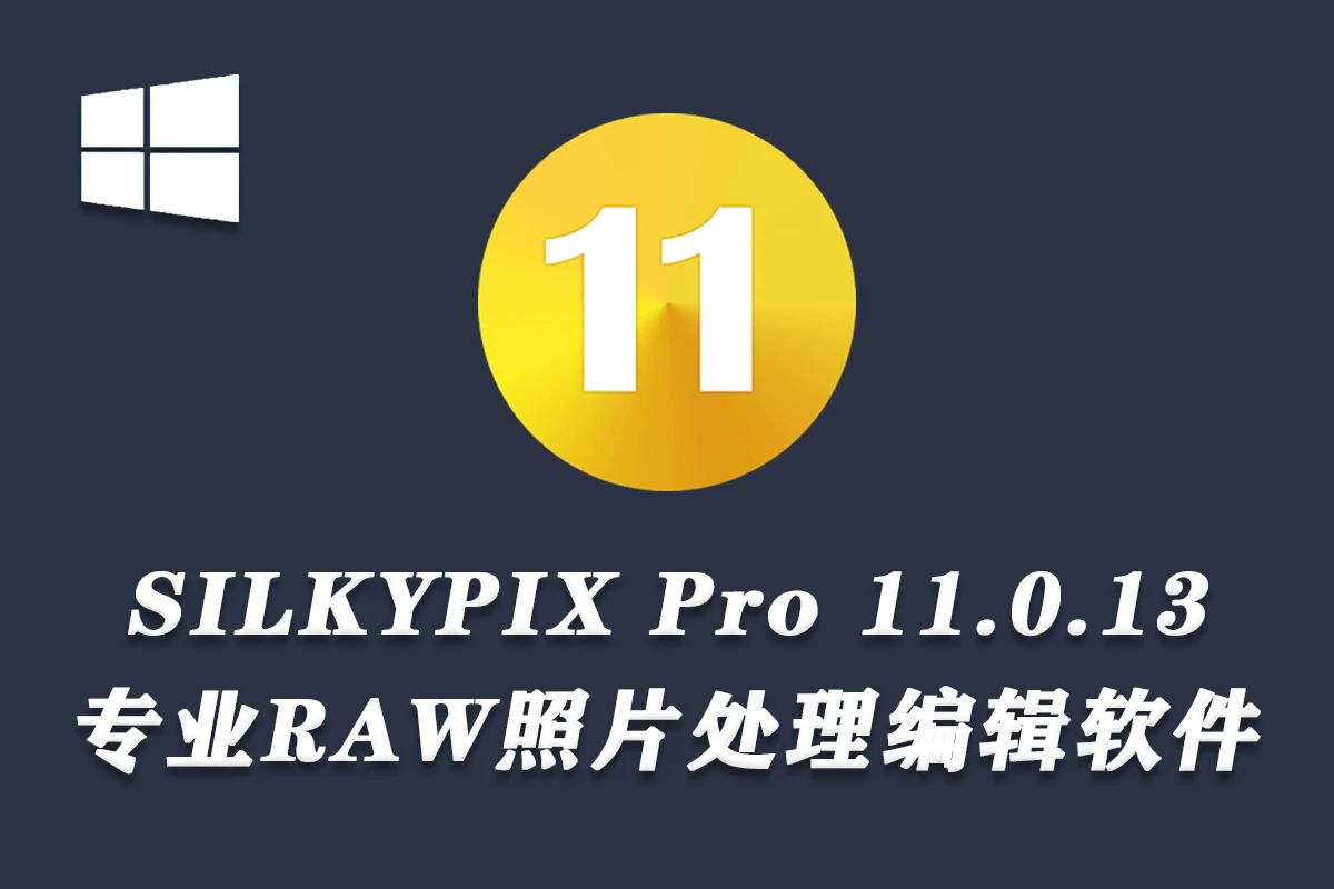 【软件】专业RAW照片处理编辑软件 SILKYPIX Developer Studio Pro 11.0.13.0 Win中文版