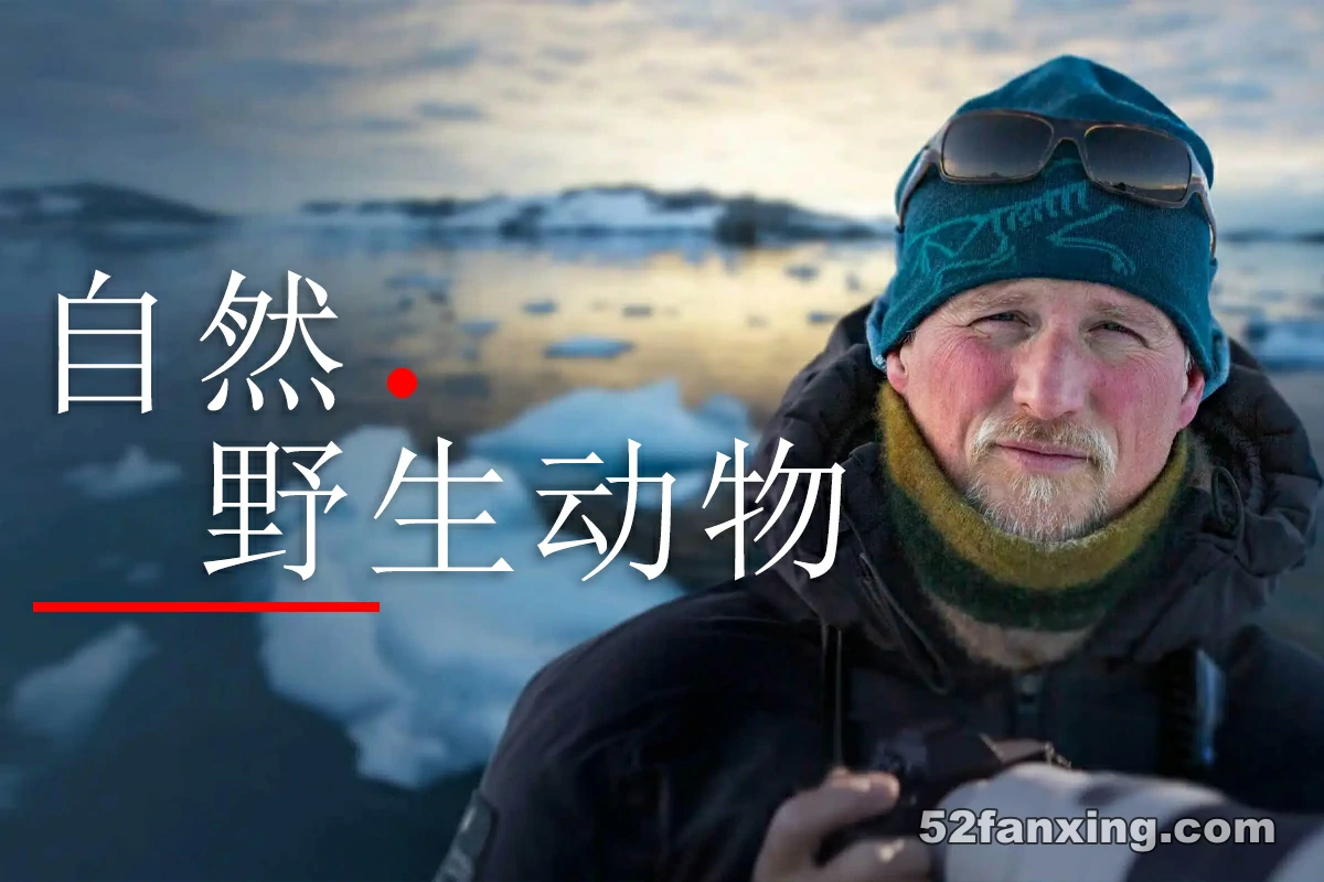 【摄影教程】保罗·尼克伦Paul Nicklen自然与野生动物摄影硕士课程-中英字幕