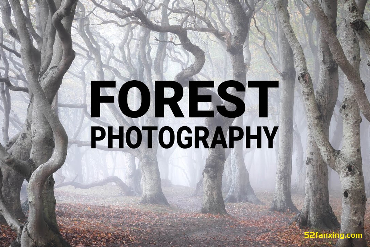 【风光摄影教程】摄影师Mads Peter Iversen-掌握森林风光摄影及后期教程+中英字幕+素材