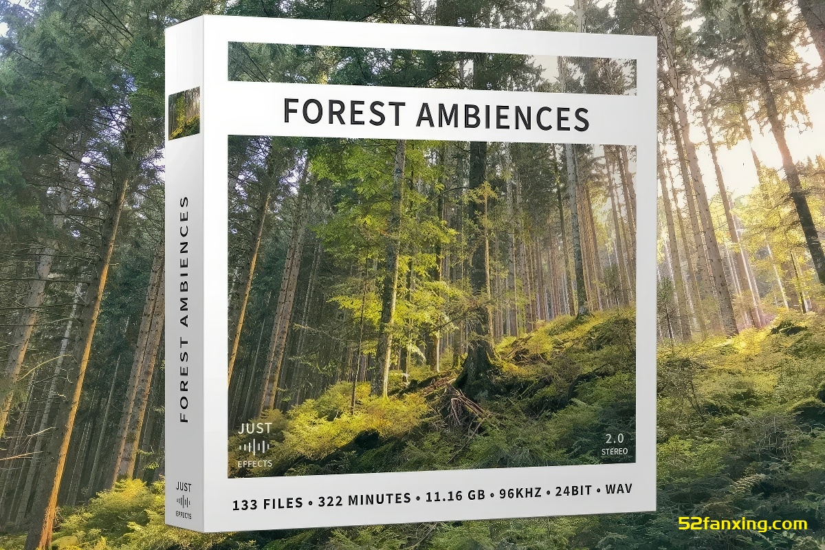 【配乐音效】133个中欧森林自然四季宁静纯粹鸣禽树木背景氛围无损音效 Just Sound Effects – Forest Ambiences