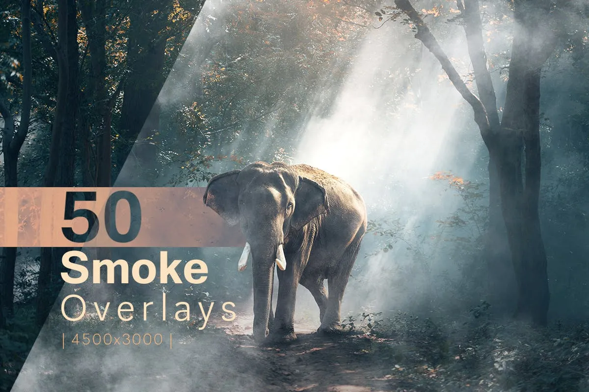 【图片素材】50张晨曦朦胧薄雾烟雾艺术氛围增强照片叠加图片素材 Smoke Overlays