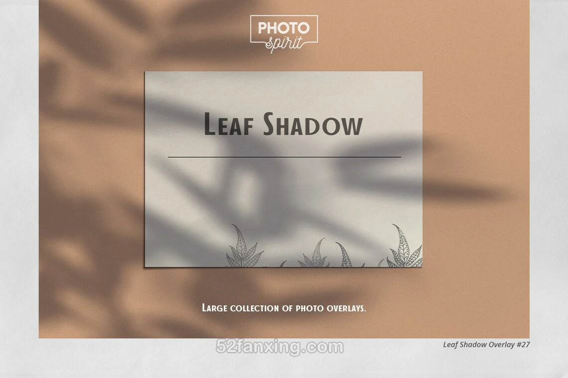 【图片素材】69张植物树叶阳光阴影效果照片合成叠加素材 Leaf Shadow Overlays